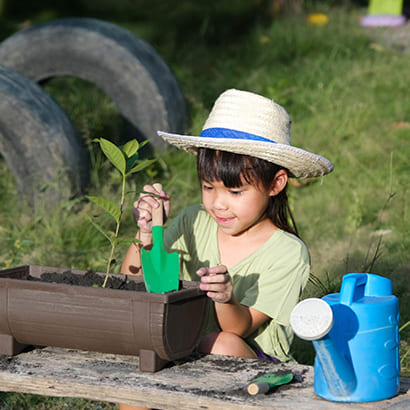 Plantation Workshop
