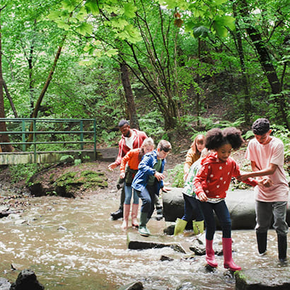 Stream Walk